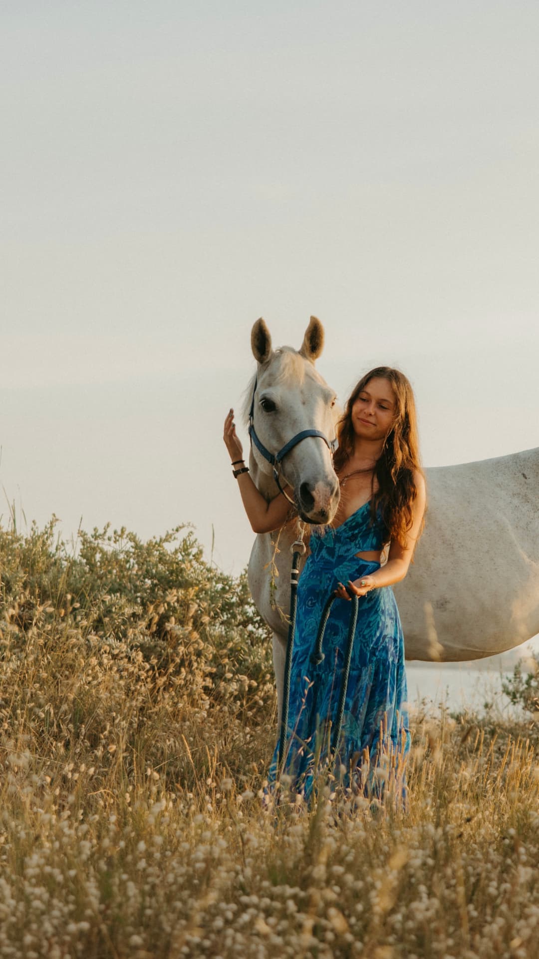 Morgane Halley en robe bleue auprès d'un cheval blanc dans les herbes hautes à l'heure dorée