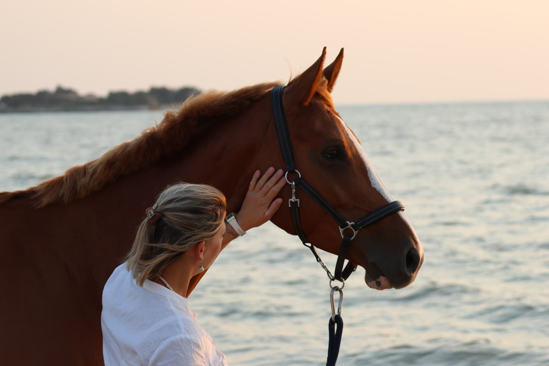 Femme caressant un cheval brun sur la plage à l'heure dorée