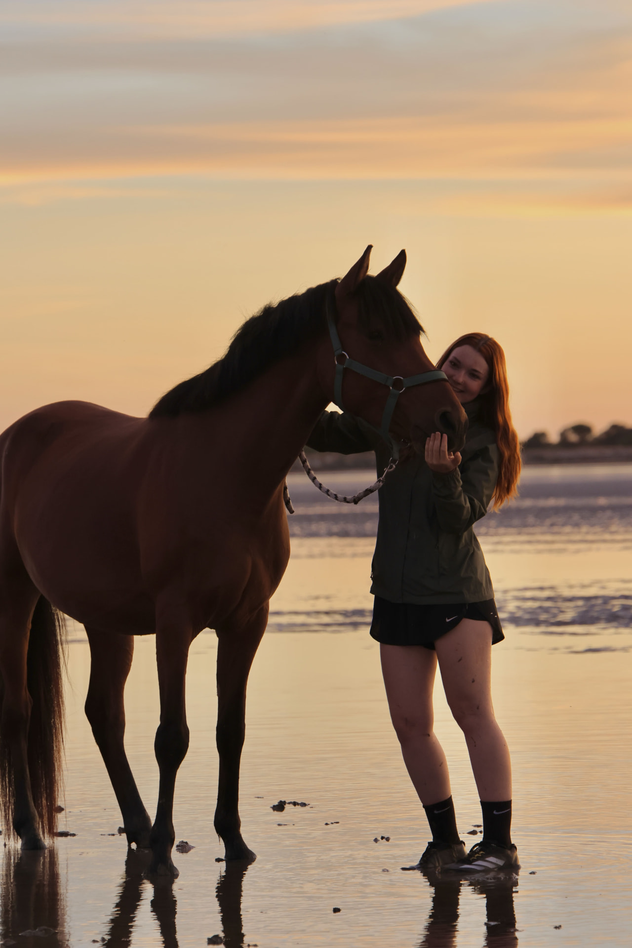 Jeune femme rousse souriant à son cheval brun, reflets sur l'eau au coucher du soleil