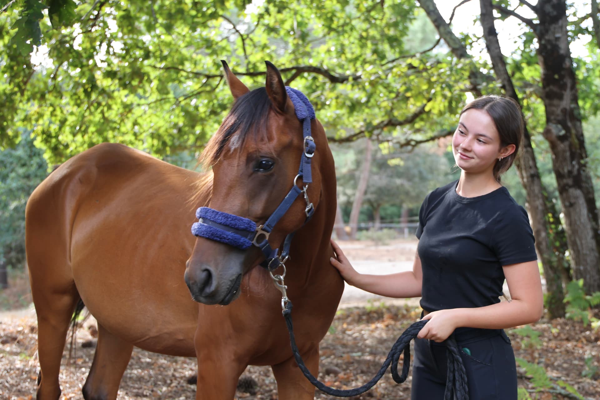 Jeune femme aux côtés de son cheval brun dans une forêt baignée de lumière