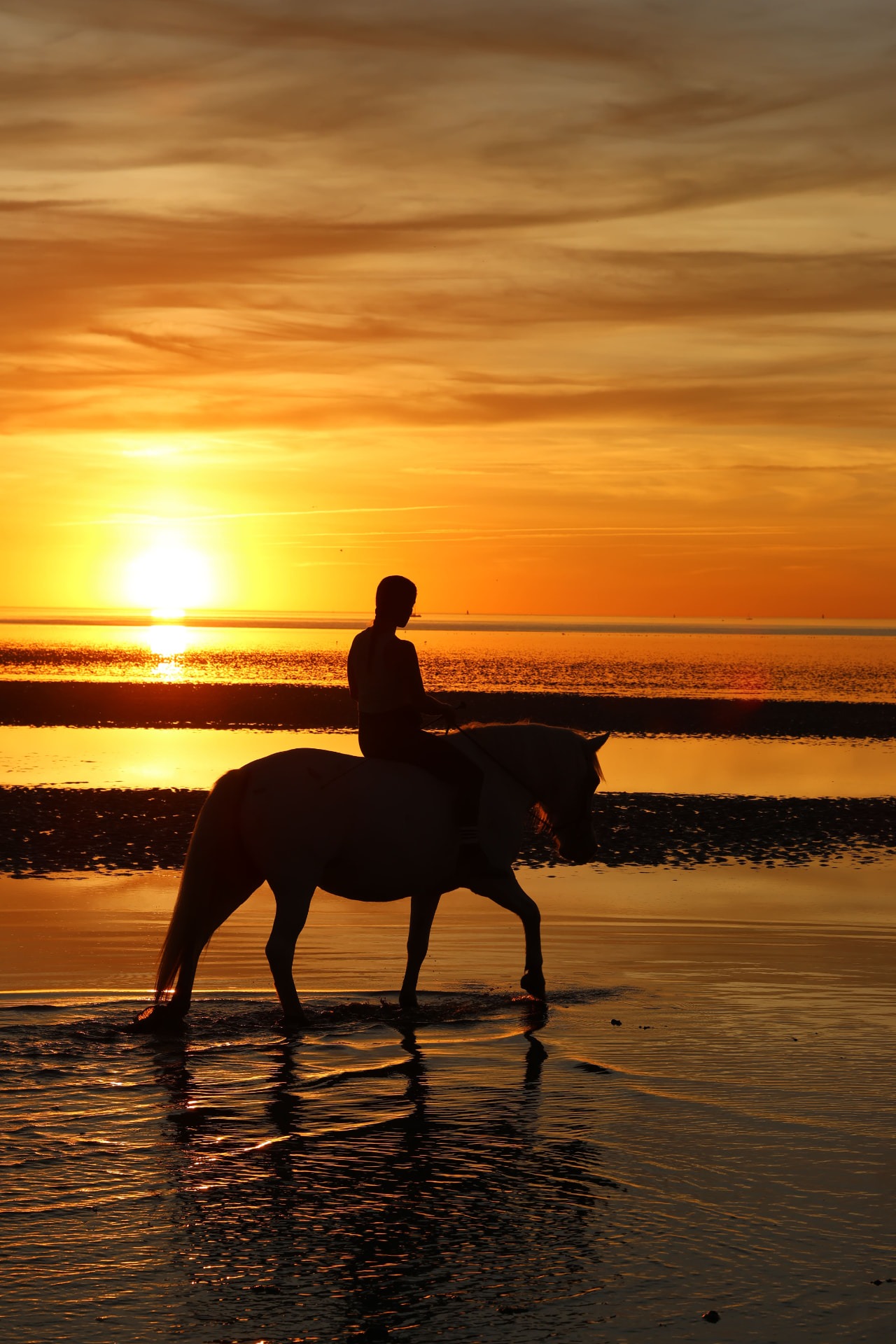 Silhouette d'une cavalière sur son cheval blanc face au soleil couchant, reflet dans l'eau