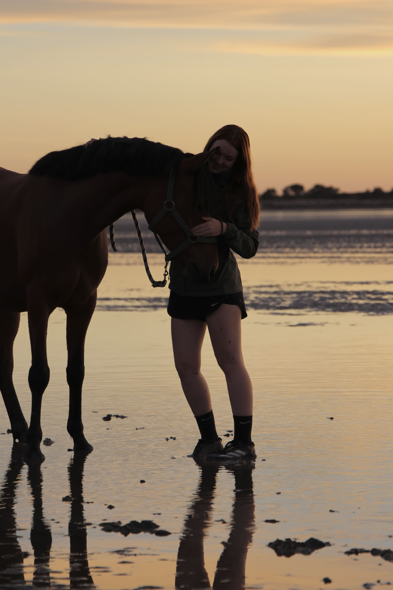 Jeune femme rousse câlinant son cheval brun sur la plage au crépuscule