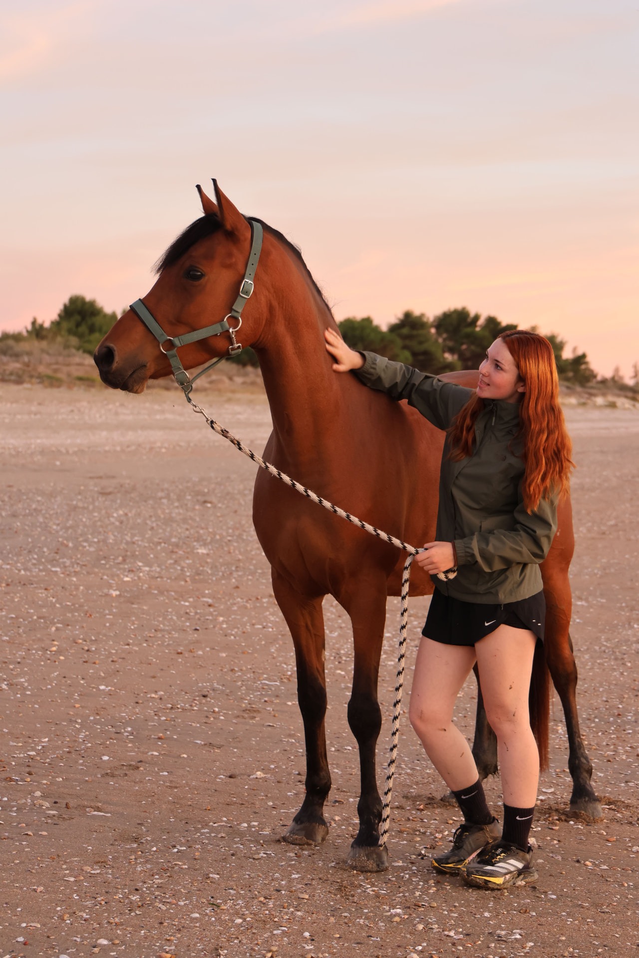 Silhouette d'une cavalière sur son cheval blanc dans l'eau au coucher du soleil